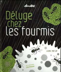 Déluge chez les fourmis