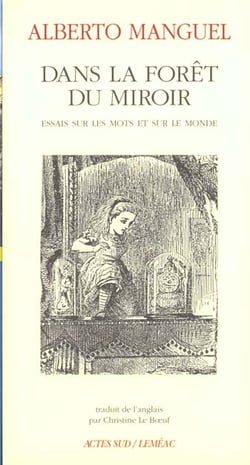 Dans la foret du miroir - essais sur les mots et sur le monde