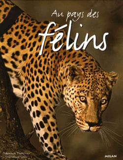 Au pays des felins