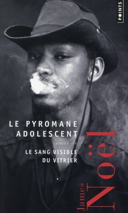 Le Pyromane adolescent - Le sang visible du vitrier