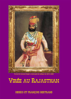 Virée au rajasthan
