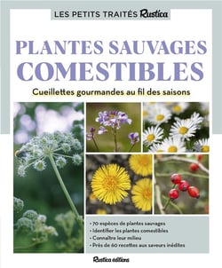 Plantes sauvages comestibles : Cueillettes gourmandes au fil des saisons