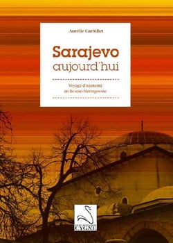 Sarajevo aujourd'hui : voyage documente en bosnie herzégovine