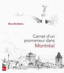 Carnet d'un promeneur dans montréal