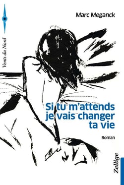Si tu m'attends je vais changer ta vie