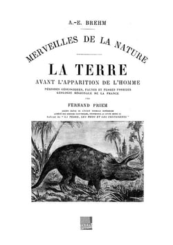 La terre avant l'apparition de l'homme