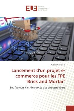 Lancement d'un projet e-commerce pour les TPe "Brick and Mortar" : Les facteurs cles de succes des entrepreneurs