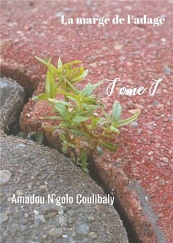 La marge de l'adage Tome 1