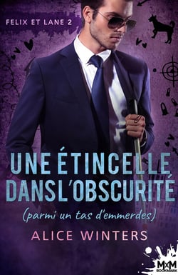Felix et Lane Tome 2 : une étincelle dans l'obscurité (parmi un tas d'emmerdes)