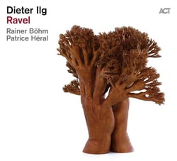 Dieter Ilg