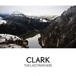 The last panthers
