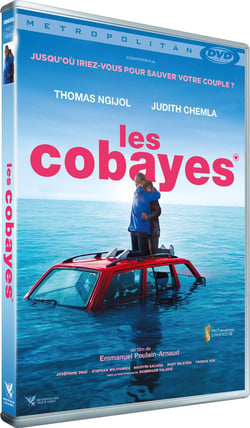 Les Cobayes