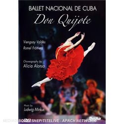 Don quijote