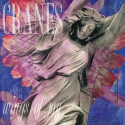 Wings Of Joy - édition limitée colorée