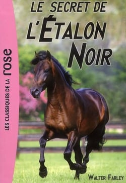 L'étalon noir Tome 9 : le secret de l'étalon noir