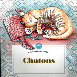 Les grands carrés d'Art-thérapie Chatons