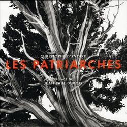 Les patriarches