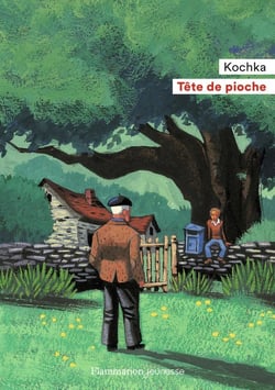 Tête de pioche