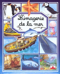 L'imagerie de la mer