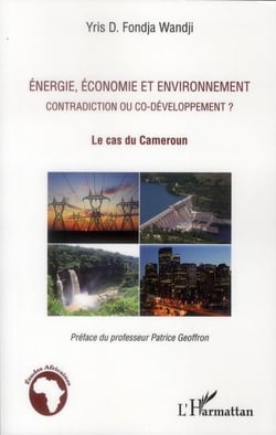 Énergie, économie et environnement - contradiction ou co-développement - le cas du Cameroun