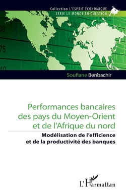 Performances bancaires des pays du Moyen-orient et de l'Afrique du nord : modélisation de lefficience et de la productivité des banques
