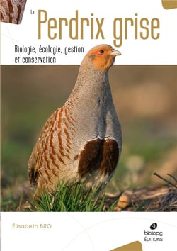 La perdrix grise - biologie, écologie, gestion et conservation