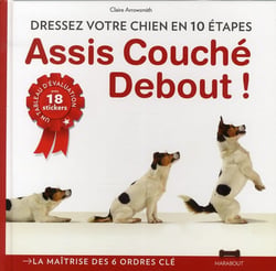 Assis, debout, couché - les règles du dressage canin en 10 étapes