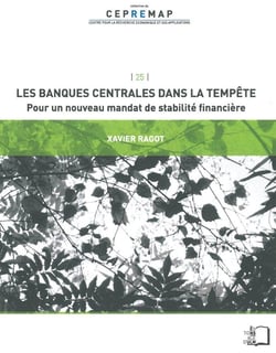 Les banques centrales dans la tempête