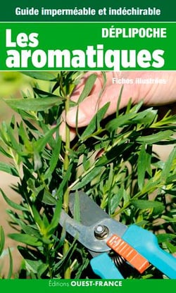 Les aromatiques