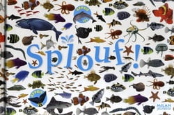 Splouf !