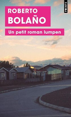 Un petit roman lumpen