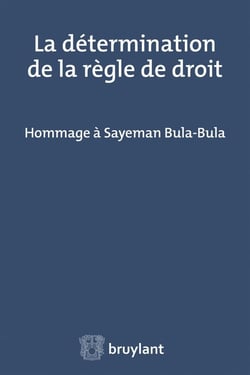 La détermination de la règle de droit - hommage à Sayeman Bula-Bula