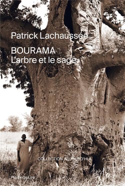 Bourama : l'arbre et le sage