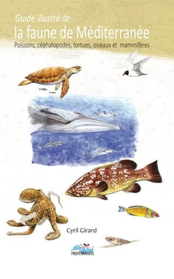 Guide illustré de la faune de la Méditerranée - poissons, céphalopodes, tortues, oiseaux et mammifères