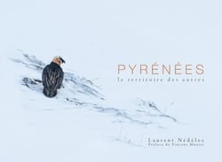 Pyrénées : Le territoire des autres