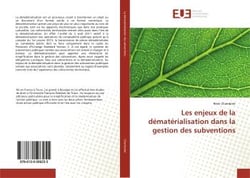 Les enjeux de la dematerialisation dans la gestion des subventions