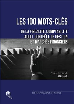 Les 100 mots-clés de la fiscalité, comptabilité, audit, contrôle de gestion et marchés financiers