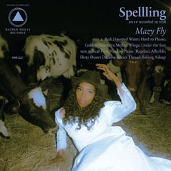 Mazy Fly - édition colorée