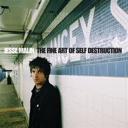 Fine Art Of Self Destruction