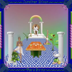 Rare birds - Vinyle