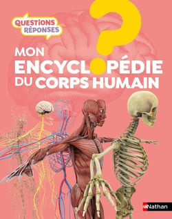 Questions réponses 7+ : l'encyclopédie du corps humain