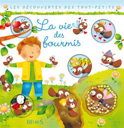 La vie des fourmis
