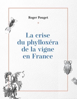La crise du phylloxéra de la vigne en France