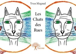 Les chats des rues