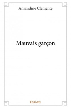 Mauvais garçon