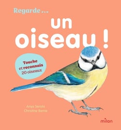 Regarde... Un oiseau !