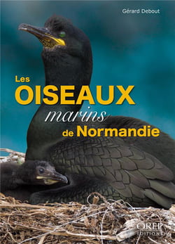 Les oiseaux marins de Normandie