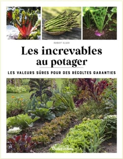 Les increvables au potager : Les valeurs sûres pour des récoltes garanties