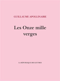 Les onze mille verges : ou les amours d'un hospodar