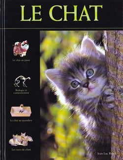 Chat